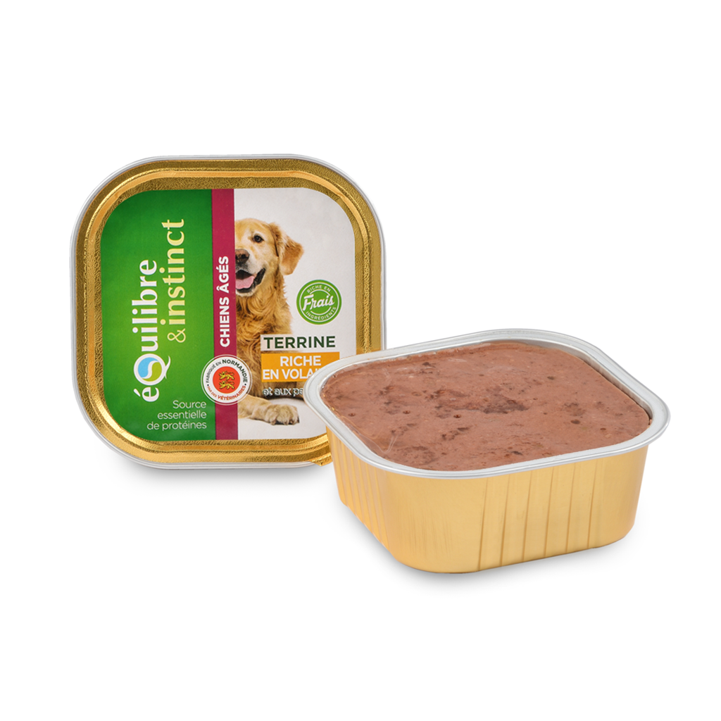 TERRINE RICHE EN VOLAILLE